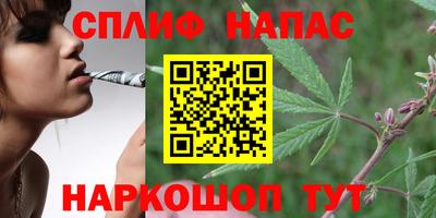 мдпв Краснознаменск