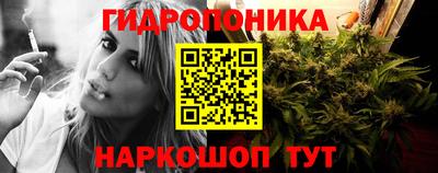 прущие крисы Краснодар