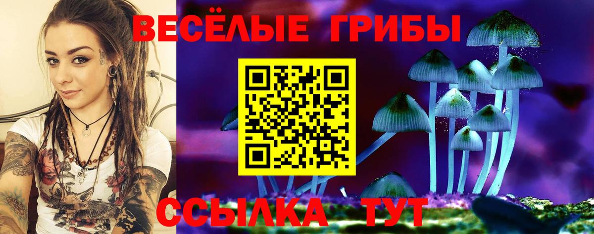 Псилоцибиновые грибы Psilocybe  Вход с VPN  Шахты 