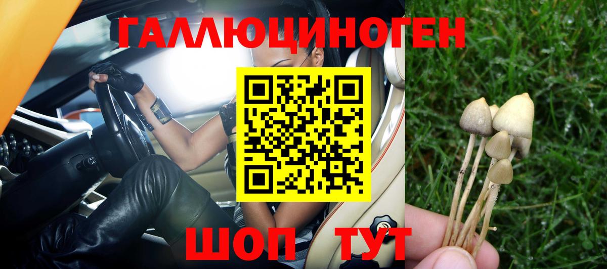 Псилоцибиновые грибы мицелий Шахты
